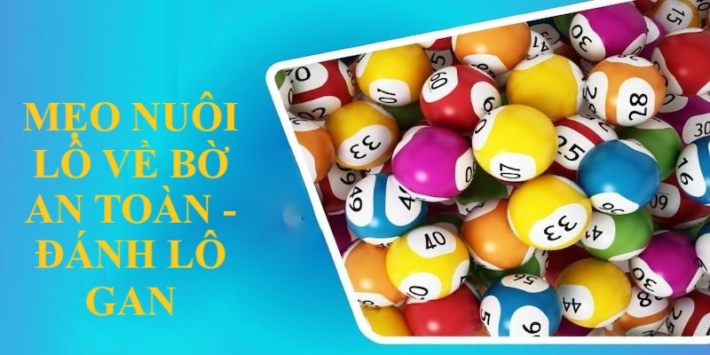 Lô Gan - Mẹo nuôi lô về bờ an toàn, nhanh chóng