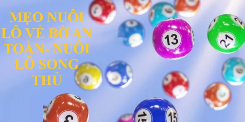 Mẹo nuôi lô song thủ đơn giản, chính xác