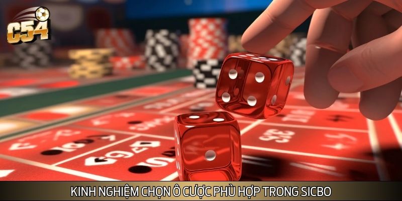 Kinh nghiệm chọn ô cược phù hợp trong Sicbo
