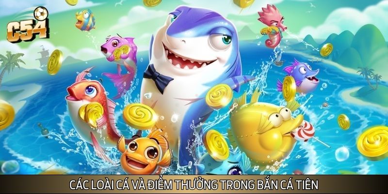 Ngư thủ cần tìm hiểu về các loài cá và điểm thưởng trong game Ngư thủ cần tìm hiểu về các loài cá và điểm thưởng trong game
