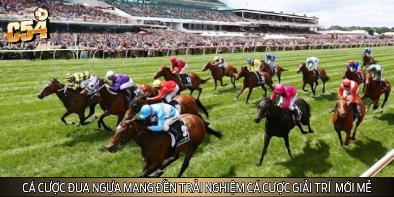 Cá cược đua ngựa mang đến trải nghiệm cá cược giải trí trực tuyến mới mẻ