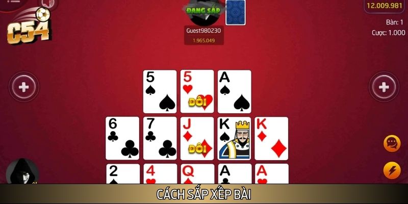 Người chơi sắp xếp bài thành 3 chi Người chơi sắp xếp bài thành 3 chi