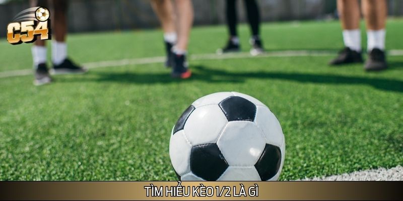 Tìm hiểu kèo 1/2 là gì Tìm hiểu kèo 1/2 là gì