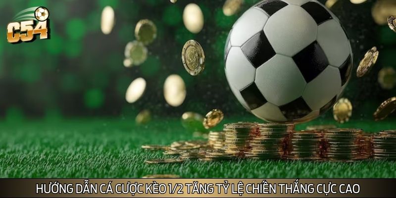 Hướng dẫn cá cược kèo 1/2 tăng tỷ lệ chiến thắng cực cao Hướng dẫn cá cược kèo 1/2 tăng tỷ lệ chiến thắng cực cao