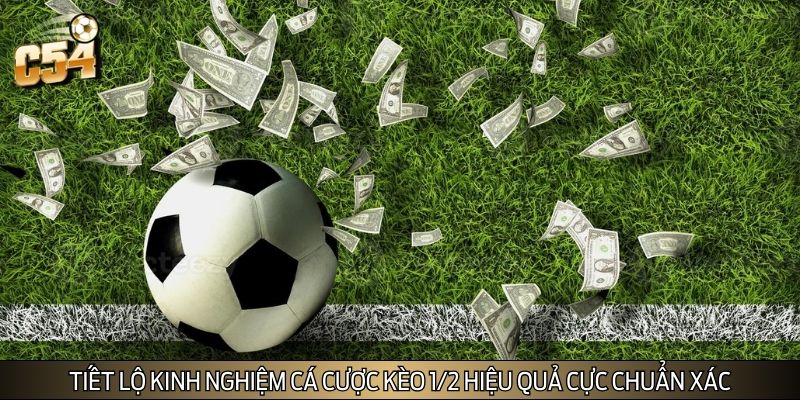 Tiết lộ kinh nghiệm cá cược kèo 1/2 hiệu quả cực chuẩn xác Tiết lộ kinh nghiệm cá cược kèo 1/2 hiệu quả cực chuẩn xác