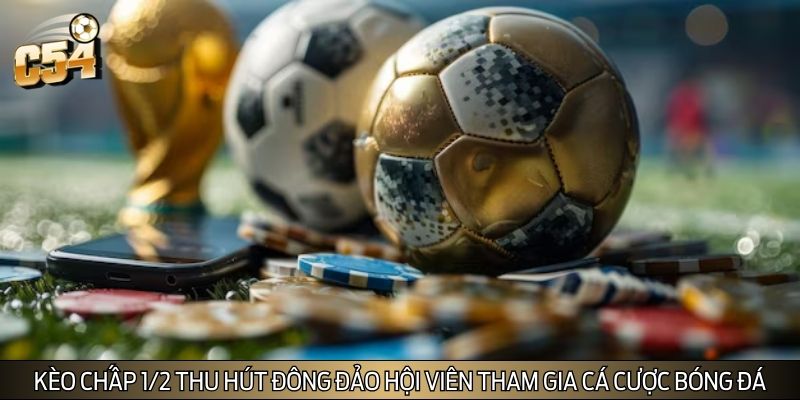 Kèo chấp 1/2 thu hút đông đảo hội viên tham gia cá cược bóng đá Kèo chấp 1/2 thu hút đông đảo hội viên tham gia cá cược bóng đá