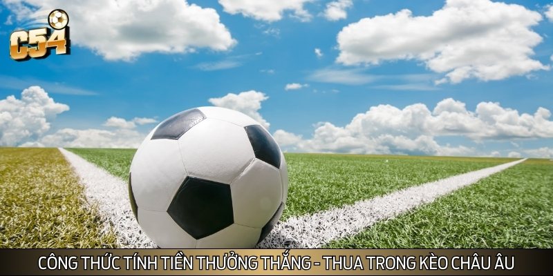 Cách tính tiền thắng - thua khi vào tiền cá cược kèo Châu Âu Cách tính tiền thắng - thua khi vào tiền cá cược kèo Châu Âu