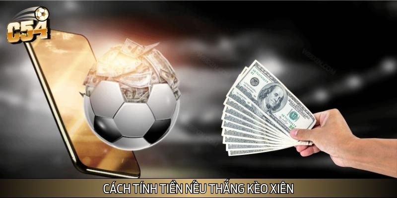 Quy tắc tính tiền khi thắng kèo cược
