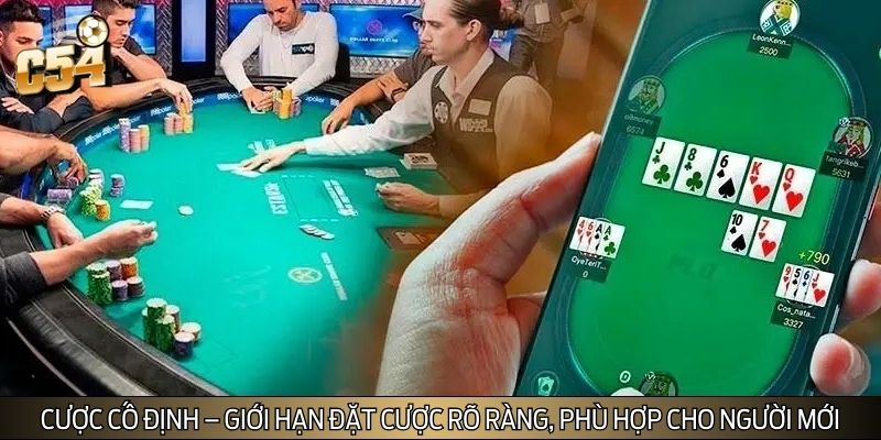 Nhiều người chơi đã lựa chọn hình thức cược cố định Nhiều người chơi đã lựa chọn hình thức cược cố định