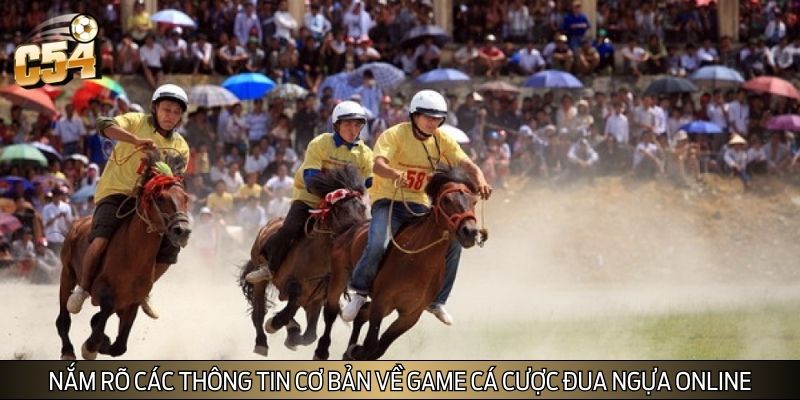 Nắm rõ các thông tin cơ bản về game cá cược đua ngựa online