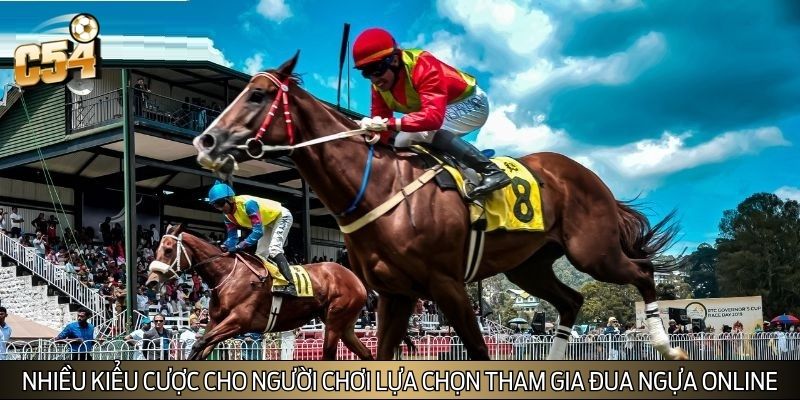 Nhiều kiểu cược cho người chơi lựa chọn tham gia đua ngựa online